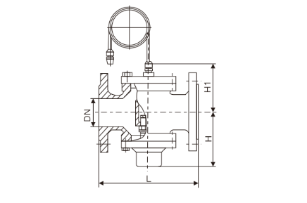 自力式壓(ya)差控制閥(fa)(圖1)